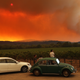 A wildfire burns over grape vines.